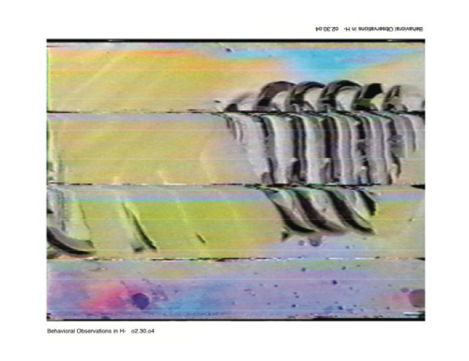 Still 3.jpg